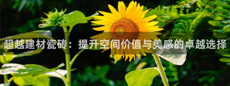 杏鑫手机客户端