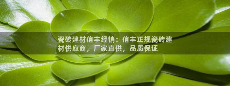 杏鑫娱乐是真的吗还是假的