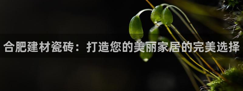 杏鑫娱乐怎么样