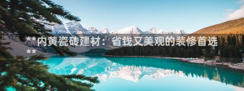杏鑫官方平台怎么样啊安全吗