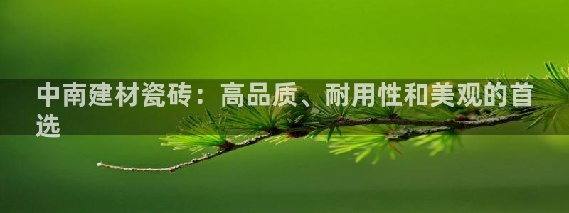 杏鑫手机客户端怎么下载