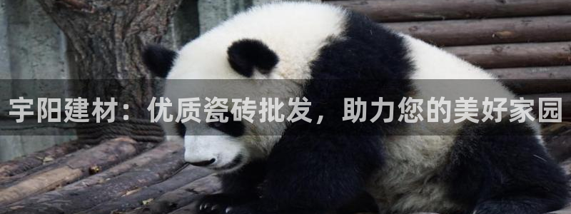 杏鑫平台怎么样黑钱吗知乎推荐