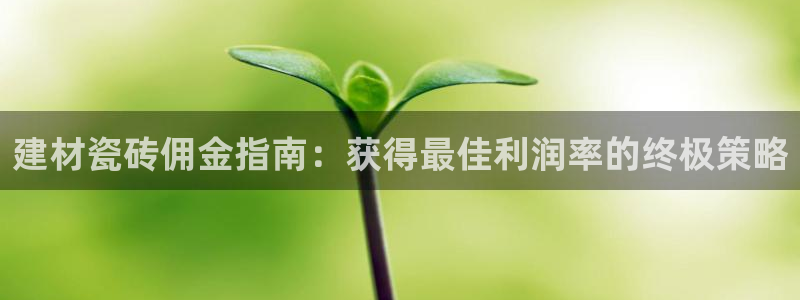杏鑫平台代理怎么样