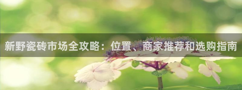 杏鑫娱乐怎么下