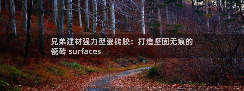 杏鑫招商总代
