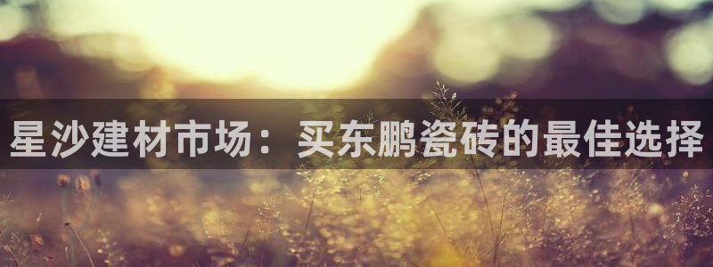 杏鑫平台代理