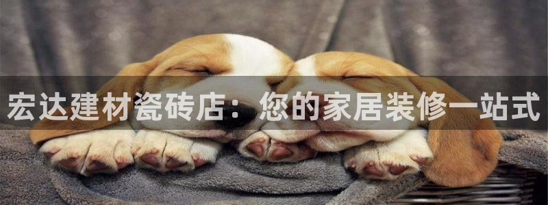 杏鑫有亏损返点吗