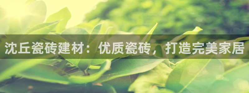 杏鑫平台怎么样