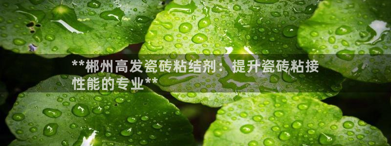 杏鑫平台代理怎么样