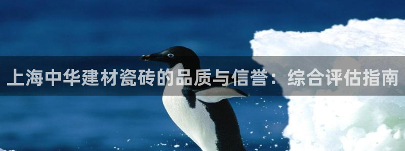 杏鑫平台线路测速