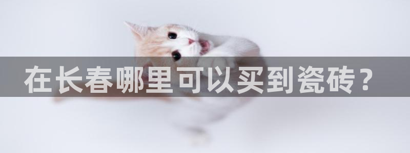 杏鑫平台平台娱乐