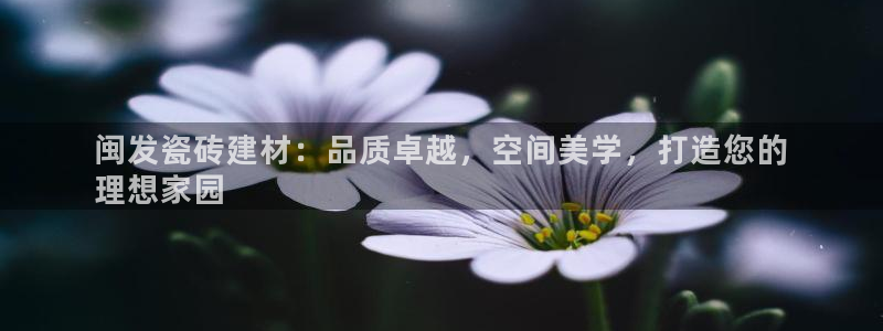 杏鑫平台广7O777