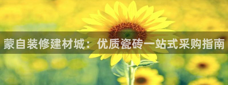 杏鑫招商总代