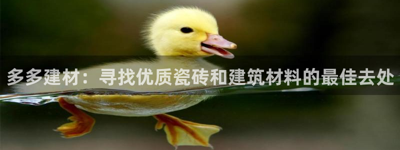 杏鑫平台怎么样黑钱吗知乎推荐