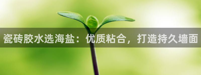 杏鑫娱乐怎么样