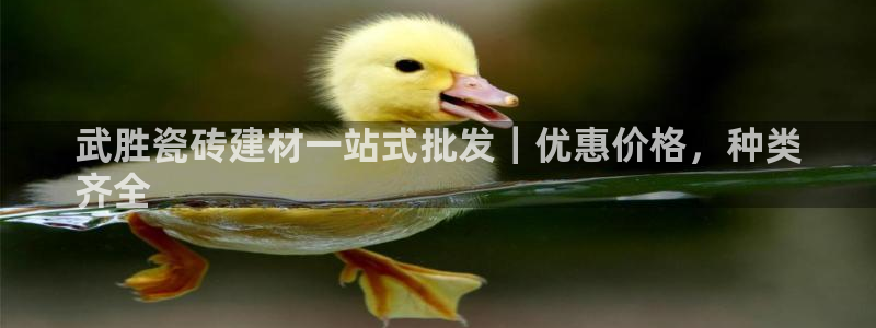 杏鑫平台是黑平台吗