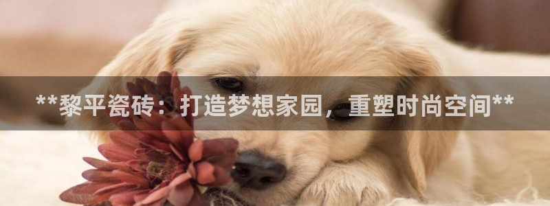 杏鑫娱乐平台