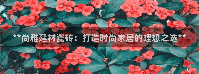 杏鑫官网最新信息