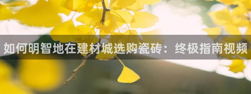 杏鑫平台直属哪个公司