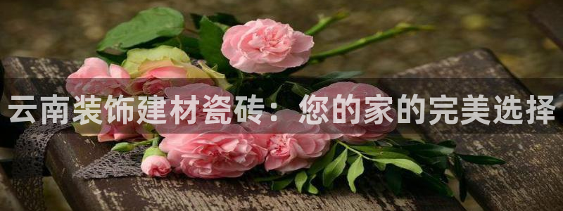 杏鑫平台直属哪个公司