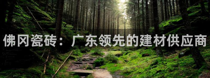 杏鑫官网最新信息新闻报道