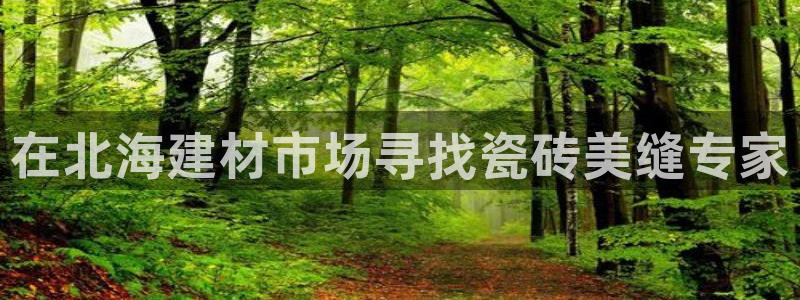 杏鑫平台官方网站