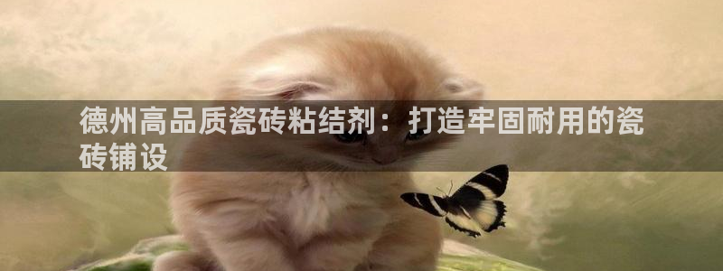 杏鑫平台怎么样