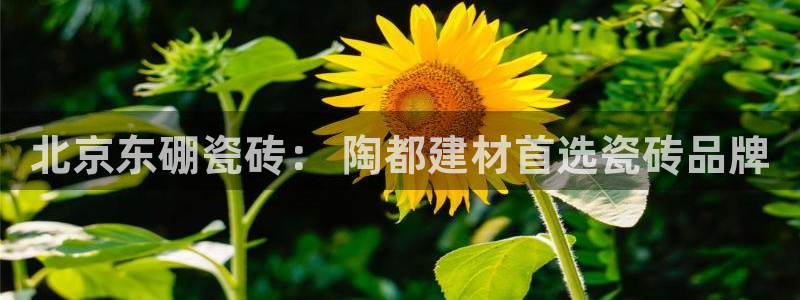杏鑫娱乐官网