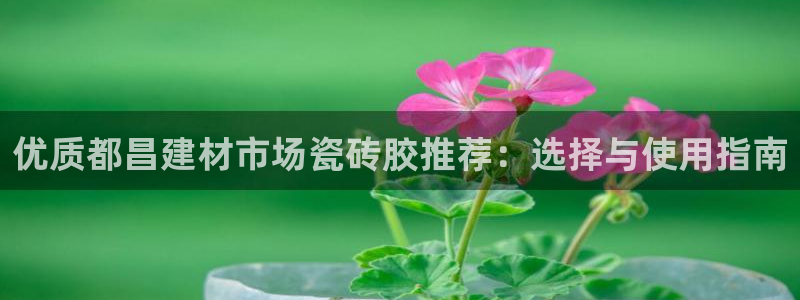 杏鑫平台是黑平台吗是真的吗