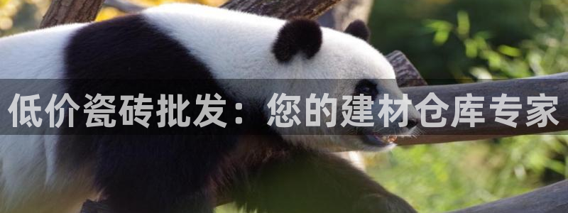 杏鑫官方平台怎么样啊可靠吗