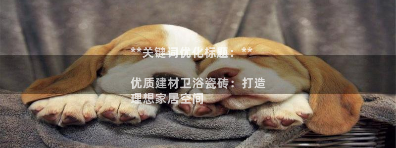 杏鑫官方app代理