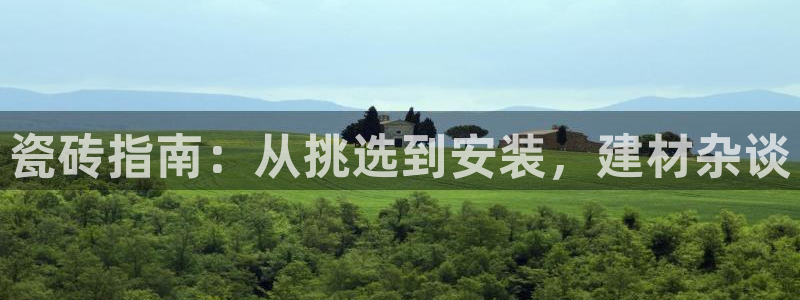 杏鑫手机客户端怎么下载