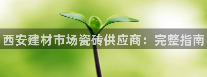 杏鑫平台广7O777