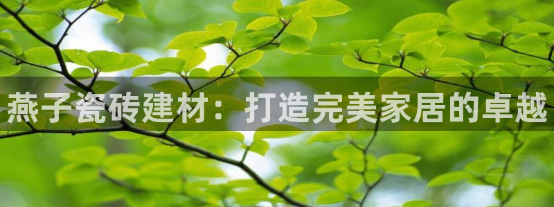 杏鑫官网最新信息