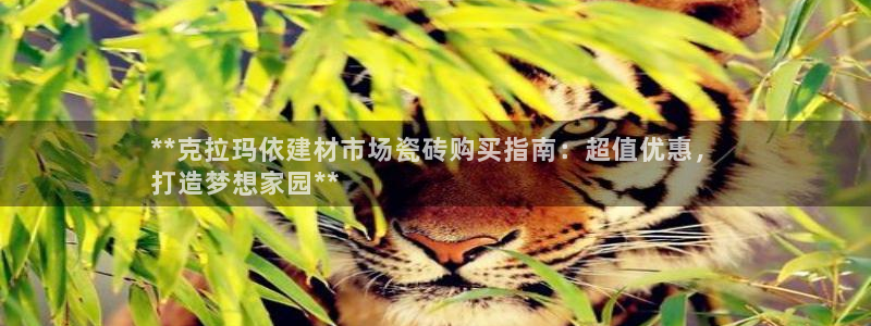 杏鑫有亏损返点吗