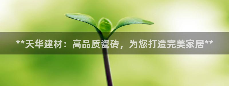 杏鑫平台代理怎么样啊
