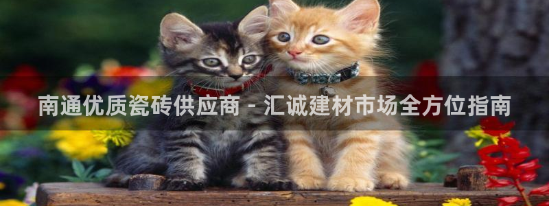 杏鑫平台官方网站