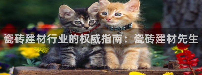 杏鑫平台招商