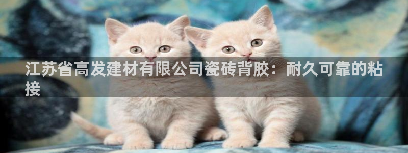 杏鑫官方平台怎么样啊可靠吗