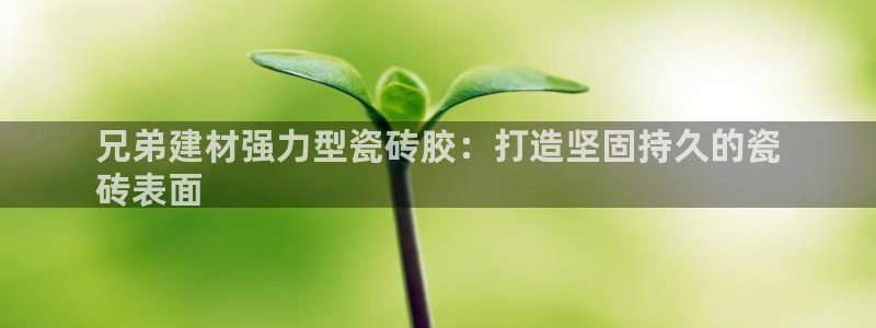 杏鑫3主管