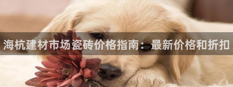 杏鑫平台靠谱吗