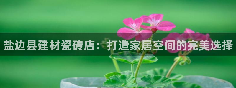 杏鑫招商总代
