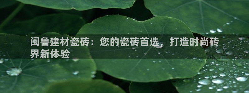杏鑫平台代理怎么样