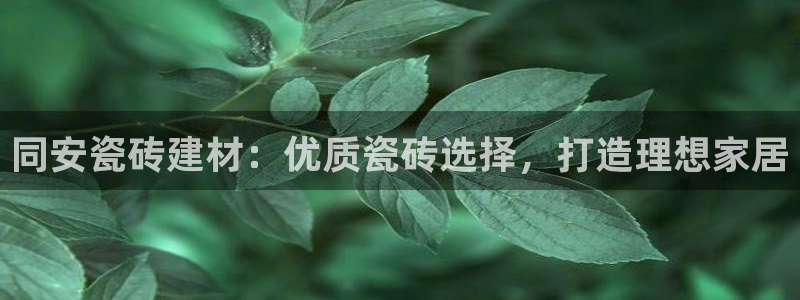 杏鑫平台招商怎么样可靠吗