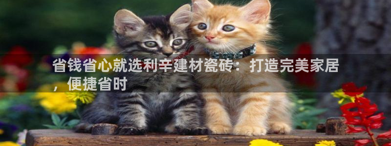 杏鑫平台代理怎么做赚钱