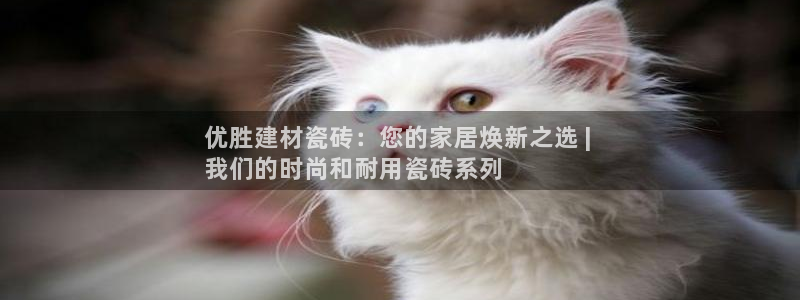 杏鑫平台怎么样黑钱吗安全吗可靠吗