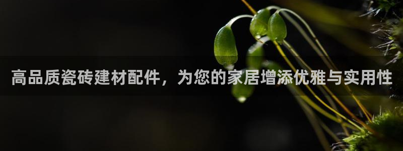 杏鑫主管