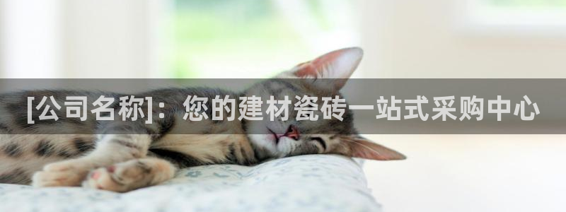 杏鑫手机客户端