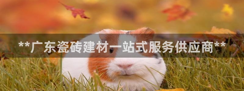 杏鑫娱乐官网