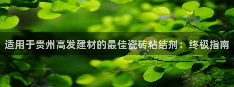 杏鑫娱乐是合法的吗?